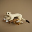 Hermeline, belette, fourrure dhiver, hauteur 14 cm,...