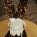 Record-breaking Antler Replica "Jaszkiser 1975" Roe Deer Antlers Roe Buck Roe Deer 12/24