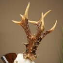 Record-breaking Antler Replica "Jaszkiser 1975" Roe Deer Antlers Roe Buck Roe Deer 12/24
