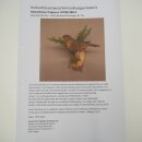 Robin Bird Specimen, Stuffed Songbird, Taxidermy Specimen with Marketing Approval