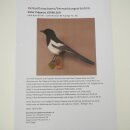 Elster Vogel Präparat: preparaciones taxidérmicas con autorización para su comercialización