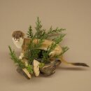 Hermelin Wiesel Sommer Fell Präparat Höhe 23 cm Tierpräparat 89.2.99
