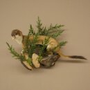 Hermelin Wiesel Sommer Fell Präparat Höhe 23 cm Tierpräparat 89.2.99