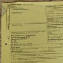 Buse variable, buse, rapace, animal empaillé, avec autorisation de vente 90.13.14
