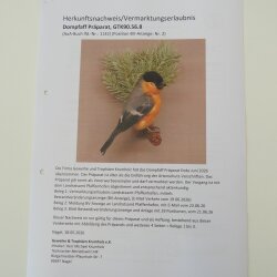 Pichón de catedral, pinzón, pinzón rojo, pájaro cantor, espécimen disecado, disecado, espécimen animal con autorización de comercialización