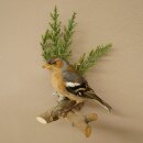 Chaffinch on a Branch, Songbird, Stuffed Bird, Height 19 cm, Stuffed Animal with Marketing Approval