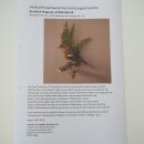 Chaffinch on a Branch, Songbird, Stuffed Bird, Height 19 cm, Stuffed Animal with Marketing Approval