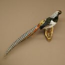 Pavo real disecado, altura 62 cm, disecado, 90.272.10