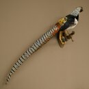 Diamantfasan Vogel Präparat Höhe 62 cm präpariert Tierpräparat 90.272.10