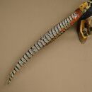 Diamantfasan Vogel Präparat Höhe 62 cm präpariert Tierpräparat 90.272.10