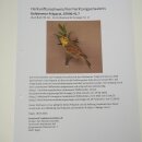 Goldammer Vogel Präparat Höhe 17 cm präpariert Tierpräparat mit Genehmigung zur Vermarktung