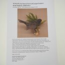 Preparado de mirlo, ave cantora, preparado zoológico con autorización de venta 90.197.9