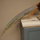 Pavo real diamantado, ave disecada, altura 55 cm,...
