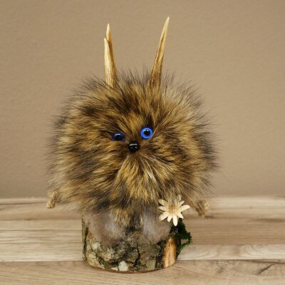 Wolpertinger Wolpi Präparat Mini auf Holz Edelweiss und blaue Augen Höhe 22 cm 86.1.3.58