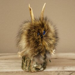 Wolpertinger Wolpi Präparat Mini auf Holz Edelweiss und blaue Augen Höhe 22 cm 86.1.3.58