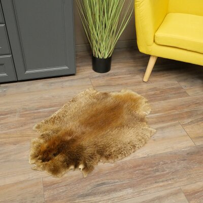 Peau de castor Peau américaine librement commercialisable Tapis Tapis en peau Peau danimal