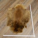 Peau de castor Peau américaine librement commercialisable Tapis Tapis en peau Peau danimal