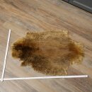 Peau de castor Peau américaine librement commercialisable Tapis Tapis en peau Peau danimal