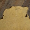 Peau de castor Peau américaine librement commercialisable Tapis Tapis en peau Peau danimal