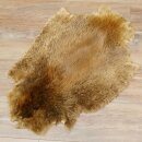 Peau de castor Peau américaine librement commercialisable Tapis Tapis en peau Peau danimal