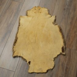 Peau de castor Peau américaine librement commercialisable Tapis Tapis en peau Peau danimal