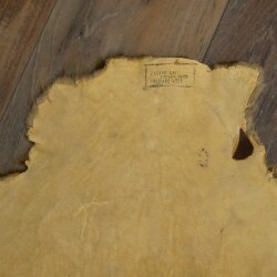 Peau de castor Peau américaine librement commercialisable Tapis Tapis en peau Peau danimal
