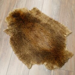 Peau de castor Peau américaine librement commercialisable Tapis Tapis en peau Peau danimal