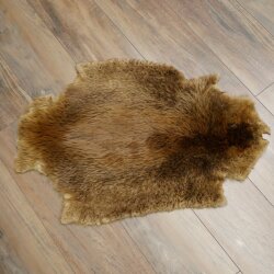 Peau de castor Peau américaine librement commercialisable Tapis Tapis en peau Peau danimal