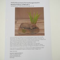 Opgezet mol op decoratief voetstuk; opgezette dierlijke preparaten met vergunning voor het in de handel brengen