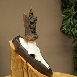 Rehgeweih abnormer Rehbock Reh Geweih Bock Gehörn Trophäenschild 607.156