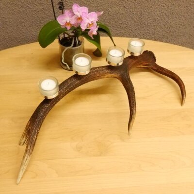 Rothirsch Geweih Kerzenständer Hirsch Horn Advent Kranz Adventskranz  GTK27.6.24
