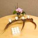 Rothirsch Geweih Kerzenständer Hirsch Horn Advent Kranz Adventskranz  GTK27.6.24
