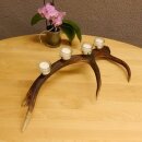 Rothirsch Geweih Kerzenständer Hirsch Horn Advent Kranz Adventskranz  GTK27.6.24