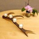 Rothirsch Geweih Kerzenständer Hirsch Horn Advent Kranz Adventskranz  GTK27.6.24