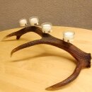 Rothirsch Geweih Kerzenständer Hirsch Horn Advent Kranz Adventskranz  GTK27.6.24