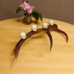 Rothirsch Geweih Kerzenständer Hirsch Horn Advent Kranz Adventskranz  GTK27.6.24