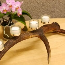 Rothirsch Geweih Kerzenständer Hirsch Horn Advent Kranz Adventskranz  GTK27.6.24