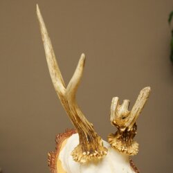 Abnormal roe deer antlers, roe deer buck, antlers, buck, horns, birch, sign 607.158