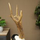 Rehgeweih Rehbock Gewicht 280g Reh Geweih Bock Gehörn geschnitztem Trophäenschild 607.163