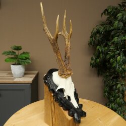 Rehgeweih Rehbock Gewicht 280g Reh Geweih Bock Gehörn geschnitztem Trophäenschild 607.163