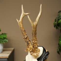 Rehgeweih Rehbock Gewicht 280g Reh Geweih Bock Gehörn geschnitztem Trophäenschild 607.164