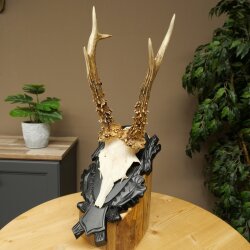 Rehgeweih Rehbock Gewicht 280g Reh Geweih Bock Gehörn geschnitztem Trophäenschild 607.164