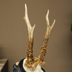 Rehgeweih Rehbock Gewicht 280g Reh Geweih Bock Gehörn geschnitztem Trophäenschild 607.164