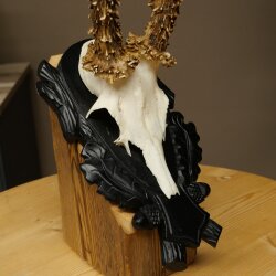 Rehgeweih Rehbock Gewicht 280g Reh Geweih Bock Gehörn geschnitztem Trophäenschild 607.164