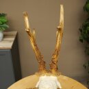 Rehgeweih Rehbock Gewicht 320g Reh Geweih Bock Gehörn geschnitztem Trophäenschild 607.166