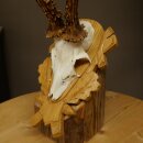 Rehgeweih Rehbock Gewicht 320g Reh Geweih Bock Gehörn geschnitztem Trophäenschild 607.166