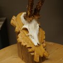 Rehgeweih Rehbock Gewicht 320g Reh Geweih Bock Gehörn geschnitztem Trophäenschild 607.166