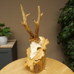 Rehgeweih Rehbock Gewicht 320g Reh Geweih Bock Gehörn geschnitztem Trophäenschild 607.166