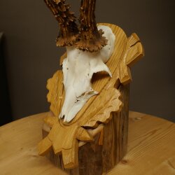 Rehgeweih Rehbock Gewicht 320g Reh Geweih Bock Gehörn geschnitztem Trophäenschild 607.166