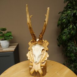 Rehgeweih Rehbock Gewicht 320g Reh Geweih Bock Gehörn geschnitztem Trophäenschild 607.166